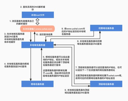 Linux 系統(tǒng) DNS 服務(wù)器搭建與配置實(shí)驗(yàn)報(bào)告 - 信息系統(tǒng)運(yùn)行維護(hù)服務(wù)
